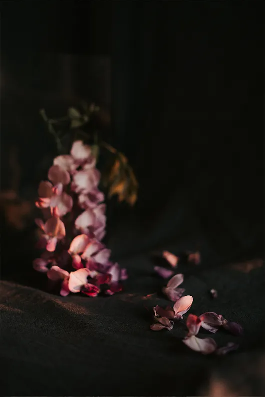 Nature morte florale : un bouquet de fleurs roses posé sur une table, avec quelques fleurs délicatement tombées.