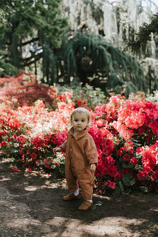 Portrait naturel d’un enfant de deux ans dans le jardin familial, entouré d’un bosquet de fleurs rouges.